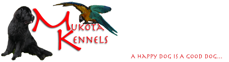 Mukota Kennel Dog Boarding, Daycare, Cat Boarding, Exotic Boarding, Dog Kennel, Boarding Kennel located in Swanzey New Hampshire